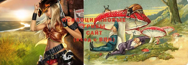 гидропоника Армянск