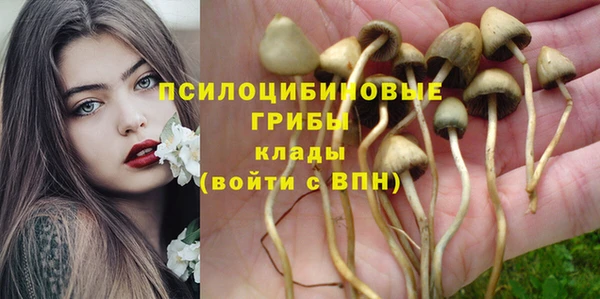 не бодяженный Арсеньев