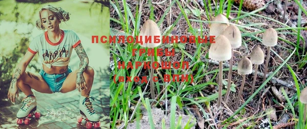 не бодяженный Арсеньев