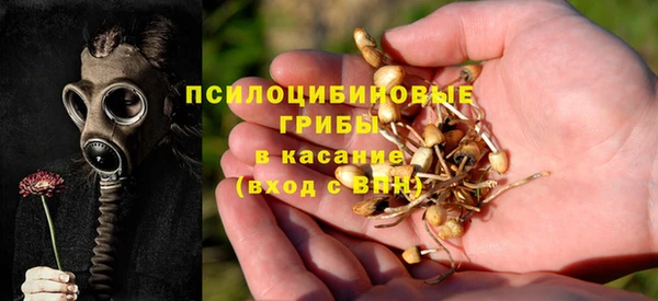 не бодяженный Арсеньев