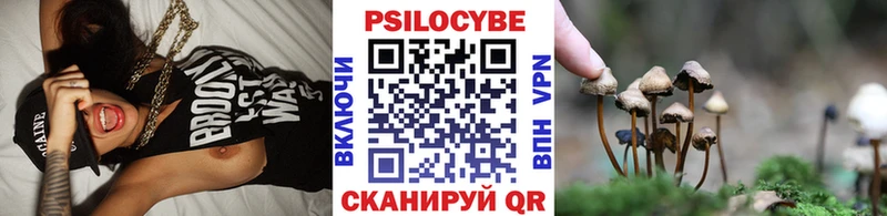OMG маркетплейс  Сковородино  Псилоцибиновые грибы прущие грибы  где продают наркотики 
